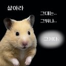 비로소 가을 이미지