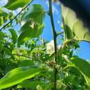 한실농장 이미지