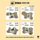 함께냥 앤 함께냥품 북수원점 | 수원고양이미용] 수원고양이호텔 함께냥 앤 함께냥품 북수원점 고양이 셀커크랙스 무마취 미용 목욕...