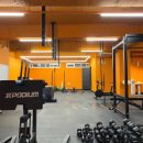 팀 크루즈 이미지