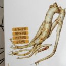 주식회사 청정그린 이미지