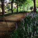 보성터미널(1층) 이미지