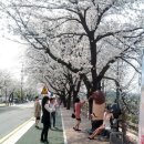 안동체육공원 축구장 이미지