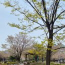 신나는어린이집 이미지