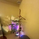 뷰티썬 | 24시간 언제든! 건대 썬바디태닝 화이트태닝 후기｜하이엔드 뷰티엔젤 기기 사용