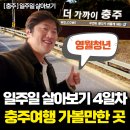 브라운도트충주역점 | [충주 일주일 살기] 여행 코스 4일차 여행지 (로라의정원, 복작, 째즈와산조)