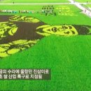 금사정미소 이미지