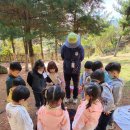 성산 유아숲체험원 이미지