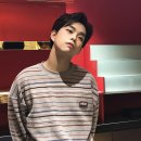 왈왈이 Daum카페