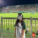 김포솔터축구장 | [2024시즌 K리그2 30R] 김포FC 홈경기 김포솔터축구장 직관 후기 (김포FC vs FC안양)
