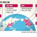 폭우·폭염·산불…역대급 지구촌 기상이변 이미지