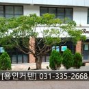 덕영고등학교 이미지