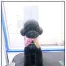 멍is뭔들 네이버블로그