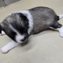 남지카공업사 이미지