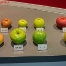 거창사과테마파크 전시실 이미지