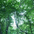 나봄리조트 | 무주덕유산리조트 나봄리조트 실내 서핑장·수영장 체험 후기