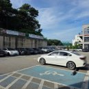 무궁화로 | 일산 식사동 중식 맛집 하인선생 내돈내산 후기