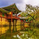 순천-43호 이미지