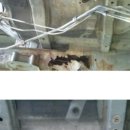 현대남대구서비스 이미지