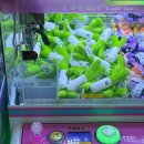 민트플레이 경주2호점 이미지