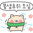 272카페