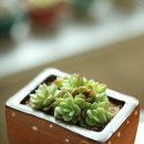 이프(IF) 이미지