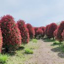 송하농장 이미지