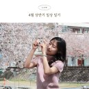 유성대로1184번길(유성-122) | [4-1] 봄바람 휘날리며