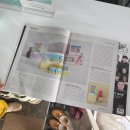 로뎀 | 군산 다이어트 누워서하는 다이어트 셀포랩로뎀 다이어트 후기