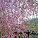 병곡경로당 이미지