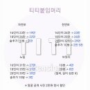 티티붙임머리