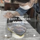 보호리카 이미지