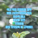 바른글 인쇄