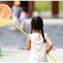 소양댐시민숲공원 이미지