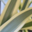 류내과의원 이미지