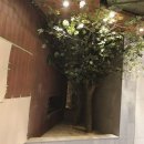 자작나무 조형물 이미지