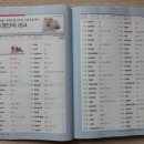 중급필수 영단어 암기 이미지