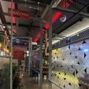 중화요리 뉴회룡 | 광주광역시 북구 용봉동 ‘츠츠허허’ 전철우사거리 술집 및 중화요리 맛집 후기