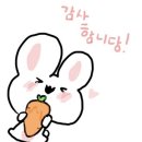 울산 송정 환장라멘 맛집 추천 | 내돈 내산 솔직 후기
