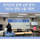 댕댕스쿨 이미지