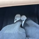 유워시셀프세차 이미지