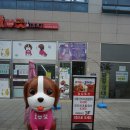 이것이코다리다 이미지