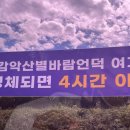 해,바람 | 거창 감악산 별바람언덕 아스타국화 실시간 개화, 주차, 웨이팅 (5년을 벼르다 방문 후기)