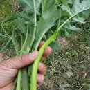 영팔농장 이미지