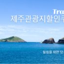 (주)하나렌트카 이미지