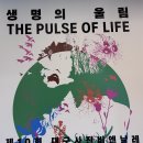 디지털카메라 사진예술 | 대구사진비엔날레 제10회 관람 후기