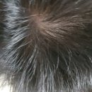 비즈경희한의원 이미지