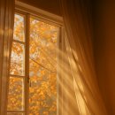 햇살좋은 이미지