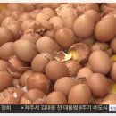 서영축산(2) 이미지