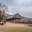 보문사 - 1701 | 보문사